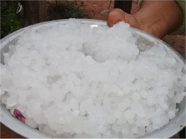 Productores hortícolas afectados por granizo en Misiones