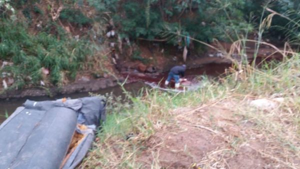 Intervienen matadero de Calle'i » San Lorenzo PY