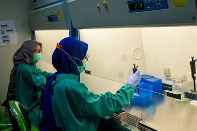 China detecta el coronavirus en pollo de Brasil y gambas de Ecuador - Mundo - ABC Color