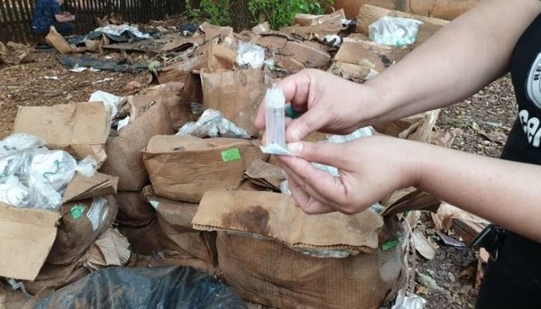 Hasta ratas hay en depósito de medicamentos de Ciudad del Este la Fundación - ADN Paraguayo