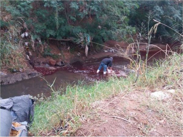 Cerrarán matadería que arrojaba sangre al arroyo San Lorenzo