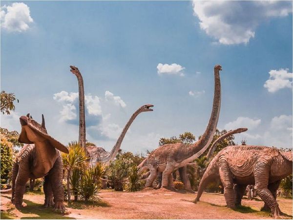 Hallazgo de dientes de dinosaurio avala teoría sobre el Cretácico
