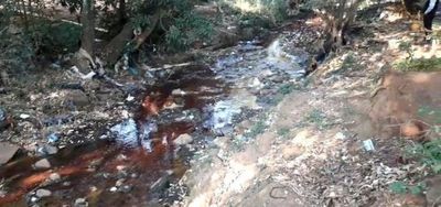 Liberan a responsables del matadero que contaminaba arroyo en Pedro Juan Caballero - Nacionales - ABC Color