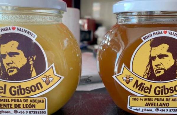 Productor de miel chilena asegura que recibió amenazas de los abogados de Mel Gibson - SNT