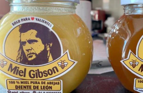 Productor de miel chilena asegura que recibió amenazas de los abogados de Mel Gibson - C9N