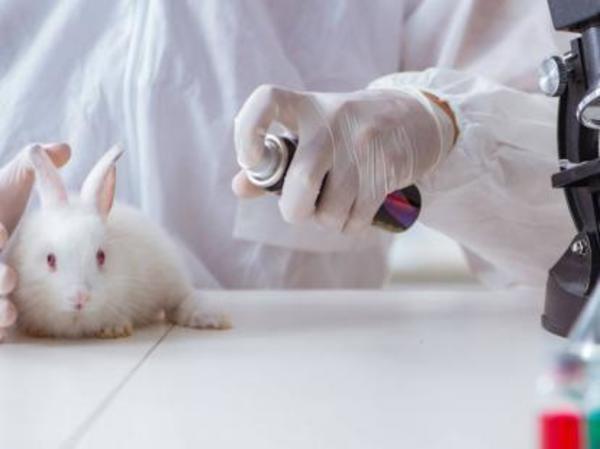 Colombia prohíbe las pruebas de productos cosméticos en animales