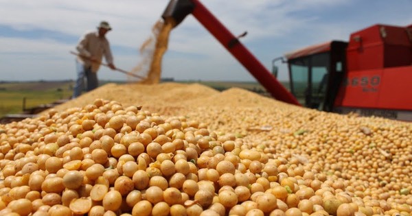 La recuperación de las materias primas ayudará a la economía