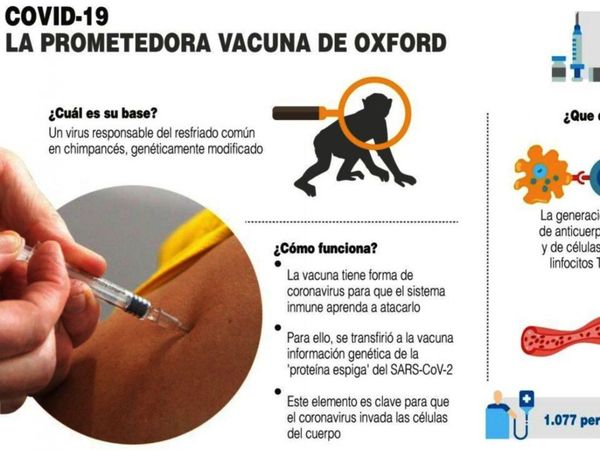 Primer trimestre del 2021, la meta para producir la vacuna de Oxford