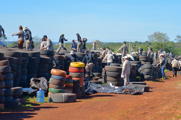 NEUMÁTICOS SERÁN DESTRUIDOS Y REUTILIZADOS PARA PRODUCCIÓN DE ASFALTO “Pará-na los Criaderos”: unas 70 mil cubiertas son tratadas con larvicidas