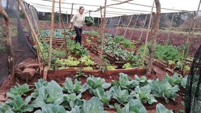 DONDE SE PONE UNA SEMILLA Y UN POCO DE CUIDADO, SIEMPRE HABRÁ FRUTOS