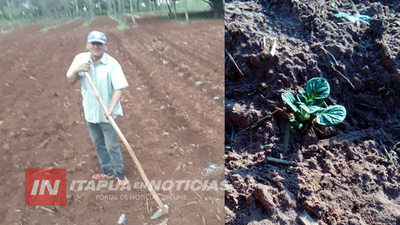 ASISTEN A PRODUCTORES DE PAPA DE ITAPÚA