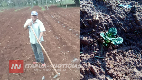 ASISTEN A PRODUCTORES DE PAPA DE ITAPÚA