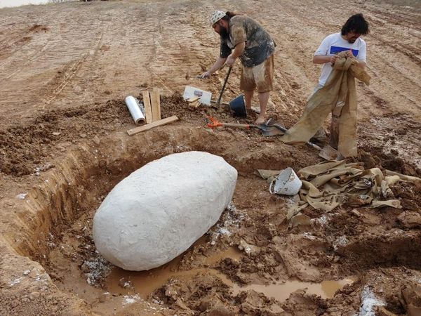 Encuentran un fósil de al menos 10.000 años en Presidente Hayes  - Nacionales - ABC Color