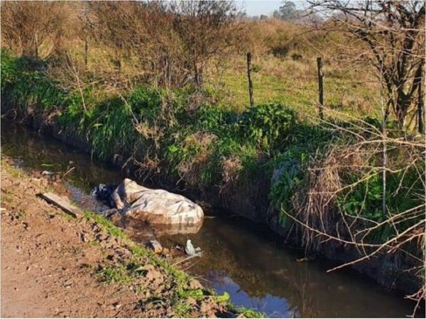 Joven paraguaya es asesinada por su pareja en Argentina