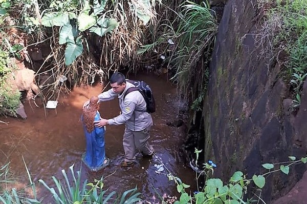 Nadie sabe cómo fue a parar la imagen de la VIRGEN en un ARROYO en CDE