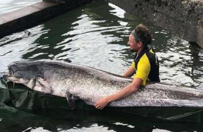 Joven pesca un impresionante pez de 90 kilos que mide más de 2,4 metros - C9N
