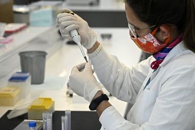 Orgullo y emoción en laboratorio argentino que producirá vacuna contra COVID-19 - Mundo - ABC Color
