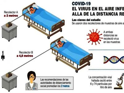 Anticuerpos que neutralizan Covid perduran seis meses en pacientes