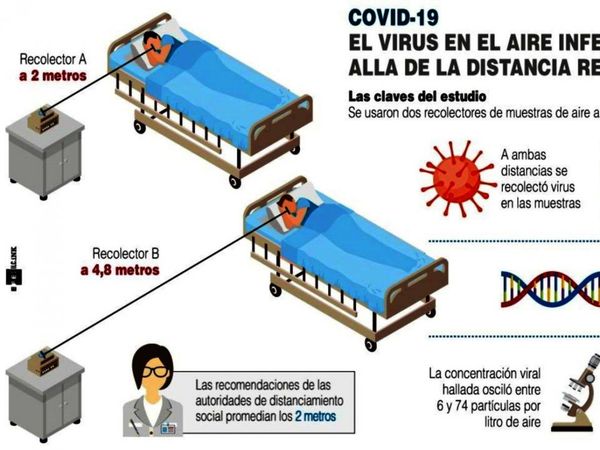 Anticuerpos que neutralizan Covid perduran seis meses en pacientes