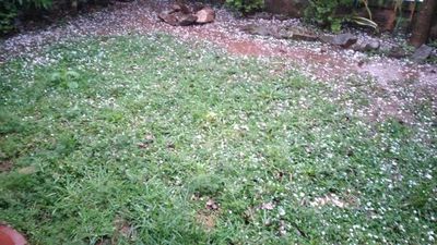 Granizada también llegó a Coronel Oviedo - Nacionales - ABC Color
