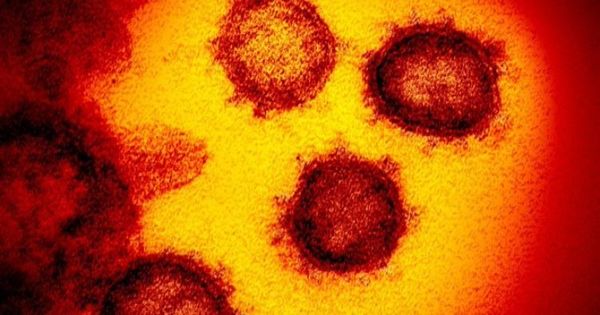 Científicos de Estados Unidos hallaron un nuevo punto débil del coronavirus