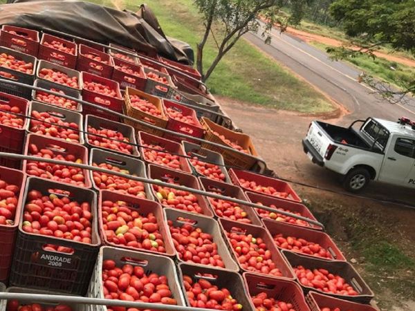 Requisan 15.000 kilos de tomate de contrabando