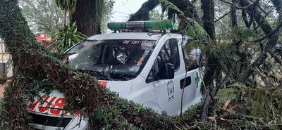 Fuerte tormenta en Concepción deja casas sin techo y árboles caídos - Nacionales - ABC Color