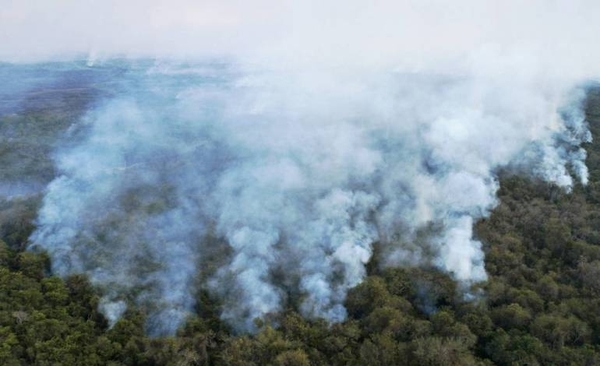 HOY / En la primera semana de agosto se detectaron casi 10 mil focos de calor en todo el país