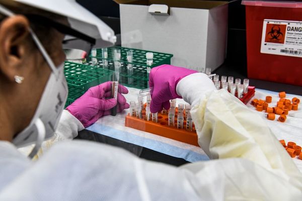 La carrera por la vacuna llega a Florida, un epicentro del coronavirus en EE.UU. - Mundo - ABC Color