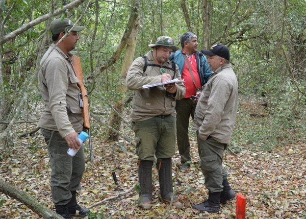 Quieren marcar presencia en parque nacional ganada por marihuaneros y deforestadores - ADN Paraguayo