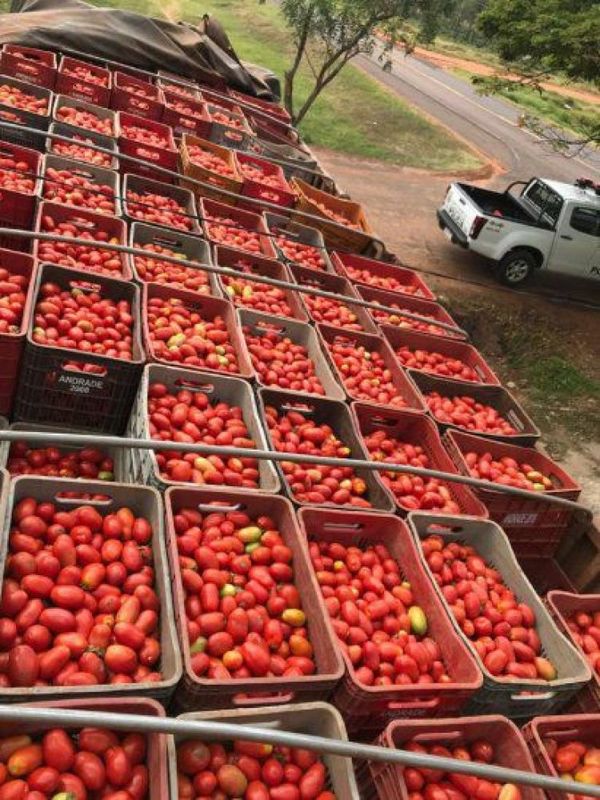 Requisan 15.000 kilos de tomate de contrabando en Horqueta