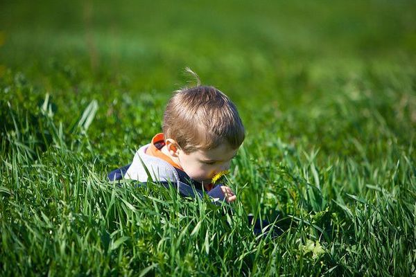 Los niños son más felices y sanos cuando pasan tiempo en la naturaleza, según un estudio - Bienestar - ABC Color