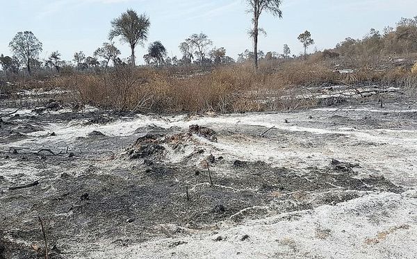 Persiste riesgo de incendios en el Chaco - Nacionales - ABC Color