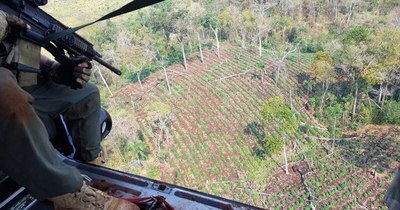 Amambay: Senad inicia operativo contra el narcotráfico con cooperación de Brasil
