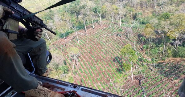 Amambay: Senad inicia operativo contra el narcotráfico con cooperación de Brasil