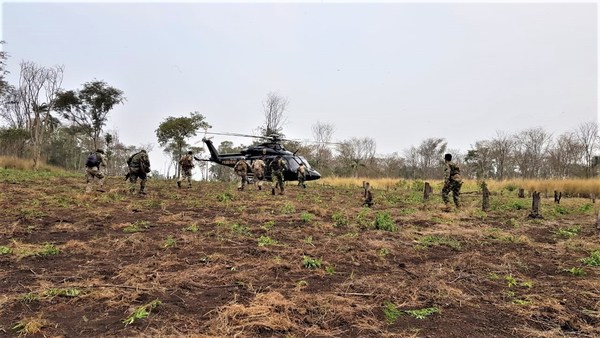 Paraguay y Brasil inician operativo contra el narcotráfico en Amambay - ADN Paraguayo