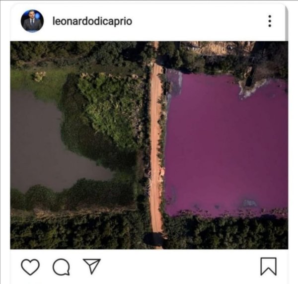 Leo Dicaprio alza la voz ante contaminación en laguna paraguaya | Noticias Paraguay