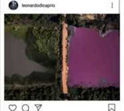 Leo Dicaprio alza la voz ante contaminación laguna de Limpio - Paraguay.com