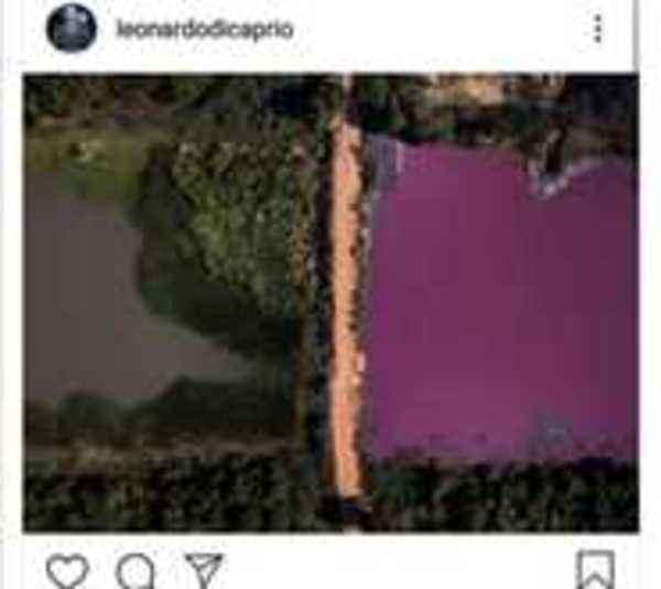 Leo Dicaprio alza la voz ante contaminación laguna de Limpio - Paraguay.com