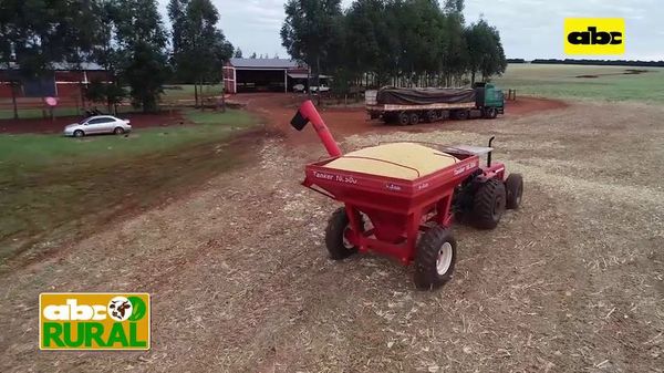 Abc Rural: Fertilización de base antes de la siembra de la soja - ABC Rural - ABC Color
