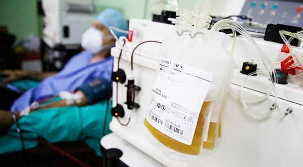 HOY / Ya suman 4 pacientes que recibieron plasma de recuperados del COVID-19 y 17 donantes a nivel país
