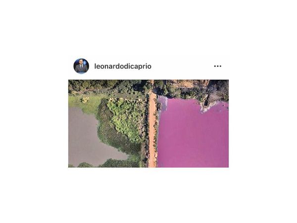 DiCaprio publica sobre contaminación de laguna