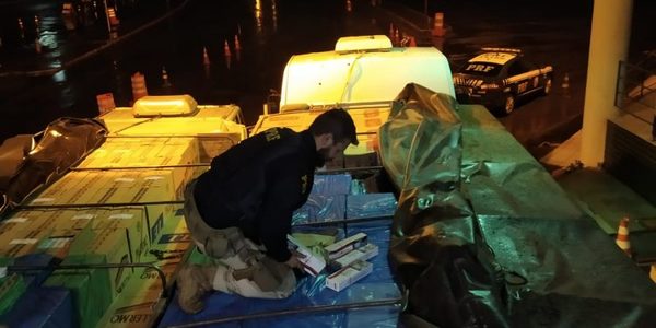 Se incautan gran cargamento de cigarrillos en Guaíra - Noticde.com