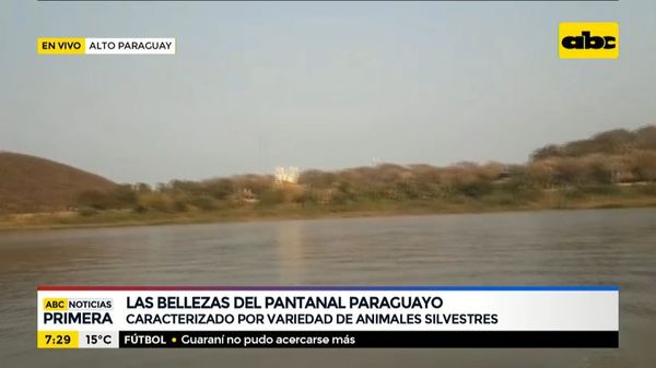 Las bellezas del pantanal paraguayo - ABC Noticias - ABC Color