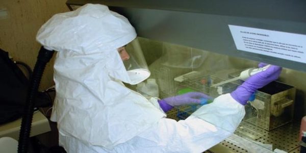 Sudáfrica inicia ensayos con una segunda posible vacuna contra el coronavirus » Ñanduti