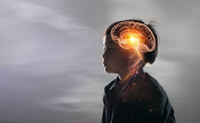 Proyecto sobre desarrollo cerebral sigue con 12.000 niños bajo observación - Ciencia - ABC Color