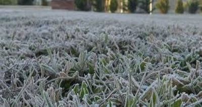 Advierten a productores sobre ingreso de frío polar