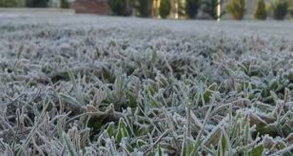 Advierten a productores sobre ingreso de frío polar