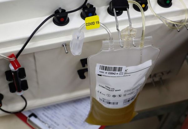 El plasma puede ser donado solo hasta 30 días después del último síntoma de COVID, según doctor - Nacionales - ABC Color