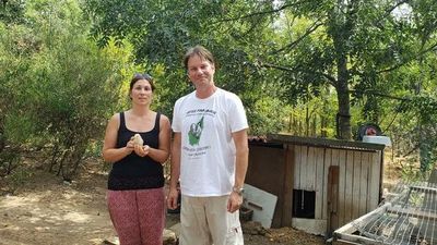 Más de 70.000 firmas en Francia para pedir “justicia” por la muerte del gallo Marcel - Mascotas - ABC Color